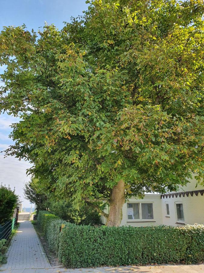 Hagelstein IV "Feuerstein" Apartman Dahme  Kültér fotó